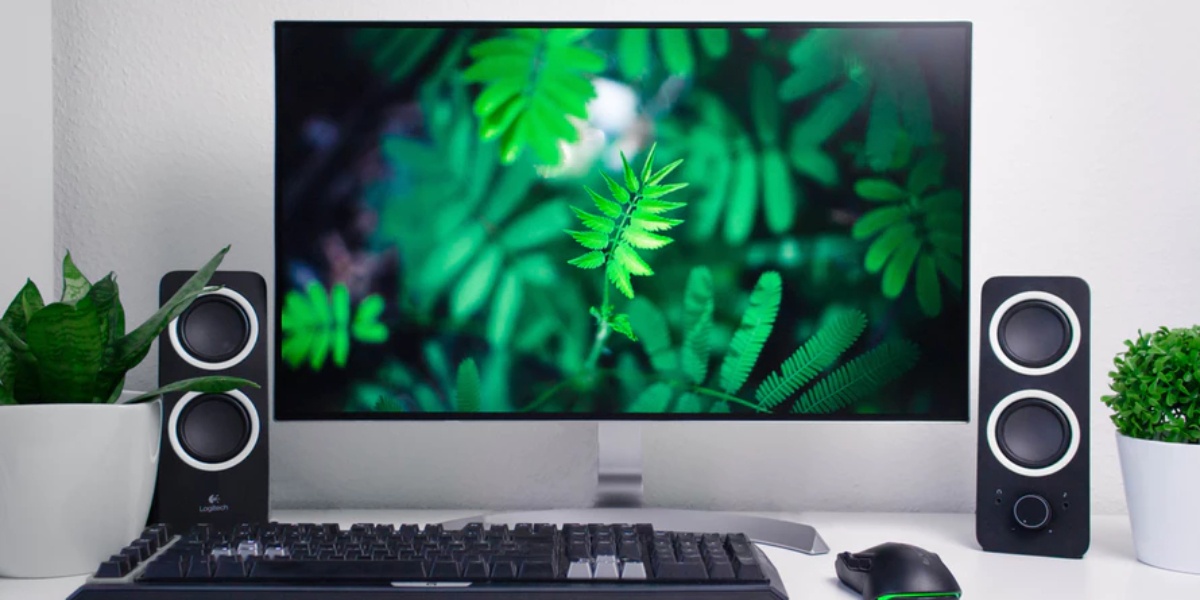 Best Monitor for Photo Editing