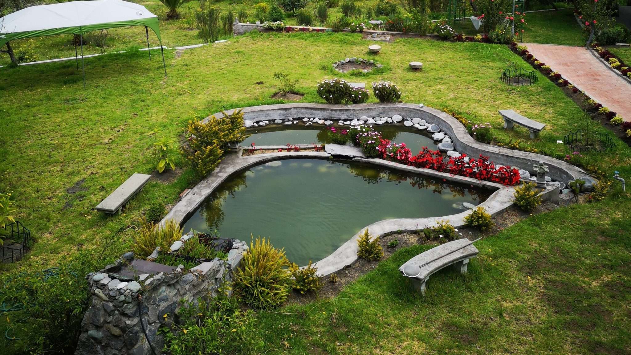 Tips on Giving your Garden Pond a Spring Cleaning WoahTech